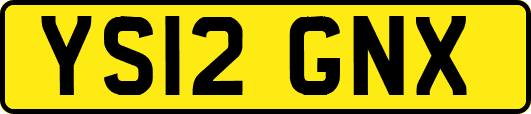 YS12GNX