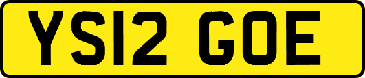 YS12GOE