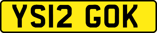 YS12GOK