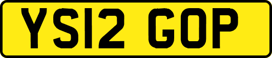 YS12GOP