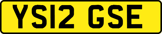 YS12GSE