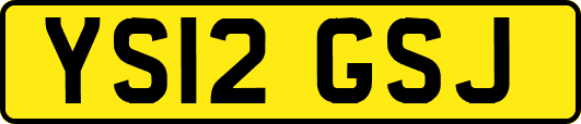 YS12GSJ