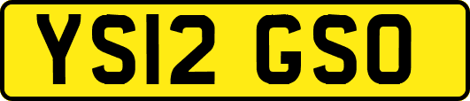 YS12GSO