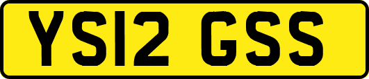 YS12GSS