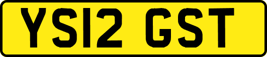 YS12GST