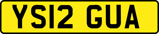 YS12GUA