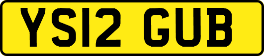 YS12GUB
