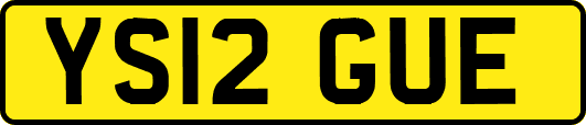 YS12GUE