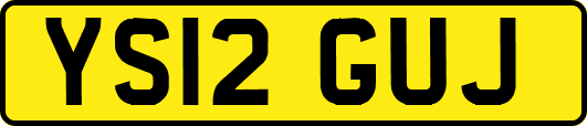 YS12GUJ