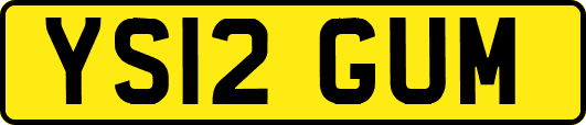 YS12GUM