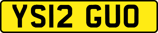 YS12GUO