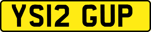 YS12GUP