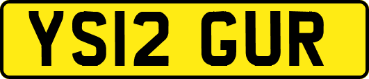 YS12GUR