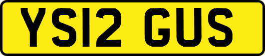 YS12GUS