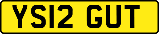 YS12GUT