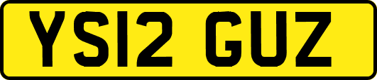 YS12GUZ
