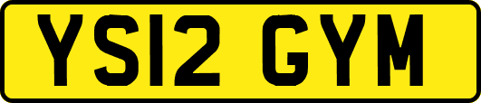 YS12GYM