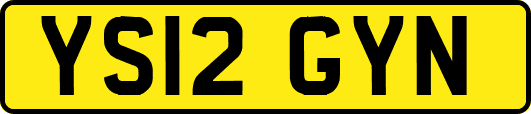 YS12GYN