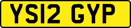 YS12GYP