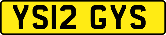 YS12GYS