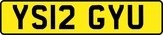 YS12GYU