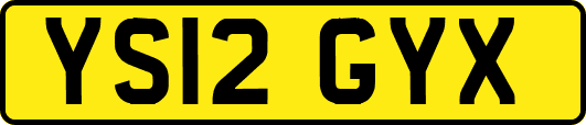 YS12GYX