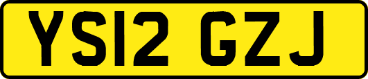 YS12GZJ