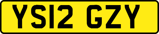 YS12GZY