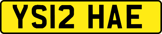 YS12HAE
