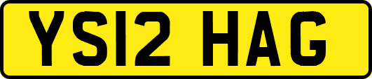 YS12HAG