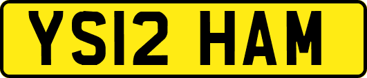 YS12HAM