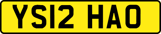 YS12HAO