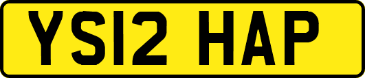 YS12HAP