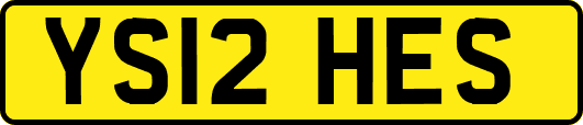 YS12HES