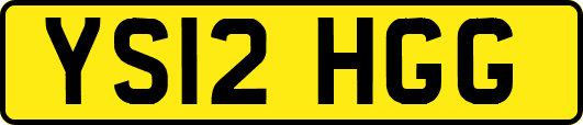 YS12HGG