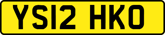YS12HKO