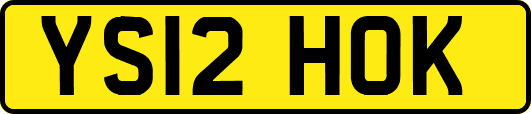 YS12HOK