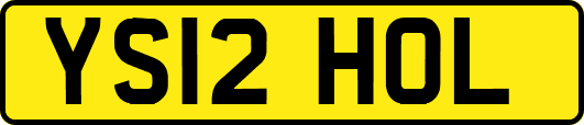 YS12HOL
