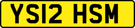 YS12HSM