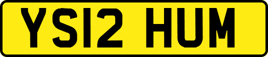 YS12HUM