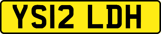 YS12LDH