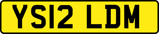 YS12LDM