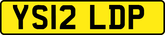 YS12LDP