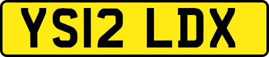 YS12LDX