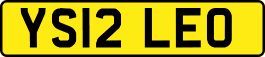 YS12LEO