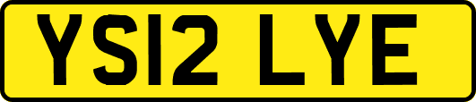 YS12LYE