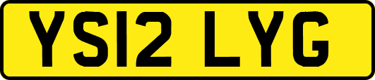 YS12LYG