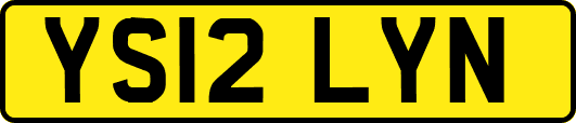 YS12LYN