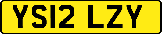 YS12LZY