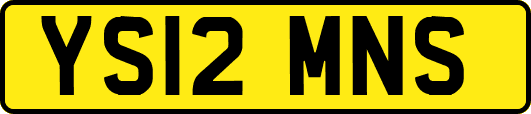 YS12MNS
